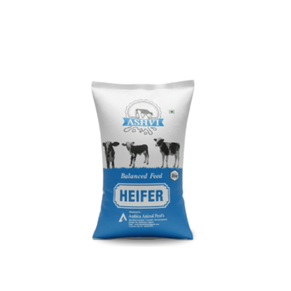 ASHWI HEIFER